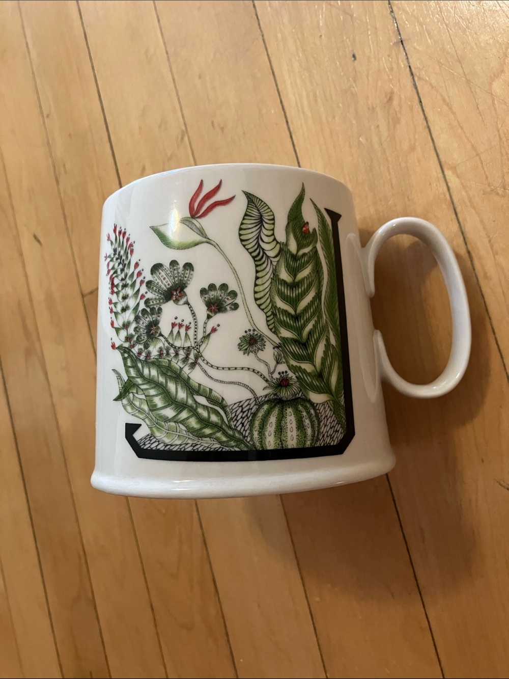 Anthropologie Florence Balducci Art J Plant Mug